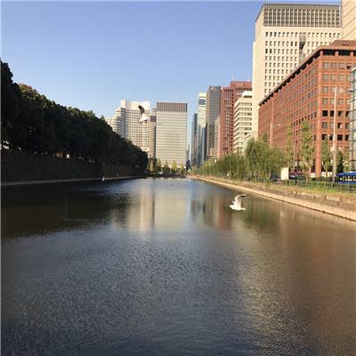 大发彩票官方官方平台app手机app下载